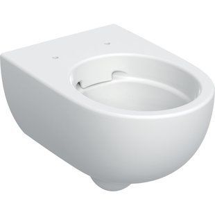 Підвісний унітаз Geberit Selnova Premium, воронкоподібний, закрита форма, Rimfree, T=53см, білий