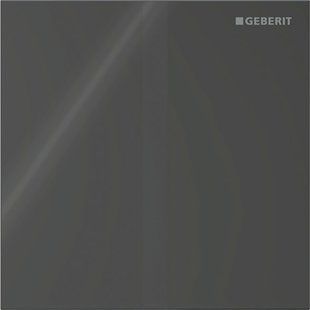Система керування пісуаром Geberit з електронним запуском змивання, живлення від батарей, захисна панель тип 40, прямокутної форми: Чорний